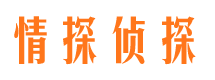 民丰市调查公司